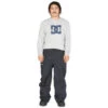 DC Shoes Primo Pant 2023