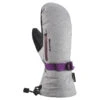 Dakine Sequoia GORE-TEX Womens Mitt 2023 -Ski Equipment Dakine Sequoia GORE TEX Womens Mitt 22 23 SILV 1