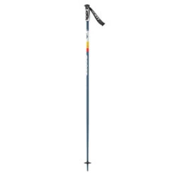 Scott Sun Valley Ski Poles 2023