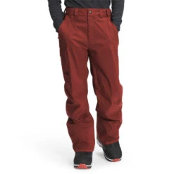 The North Face Freedom Pant 21-22 -Ski Equipment The North Face Men s Freedom Pant 21 22 BHRD 1