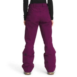 The North Face Lostrail Futurelight Womens Pant 21-22 -Ski Equipment The North Face Women s Lostrail Futurelight Pant 21 22 PPUR 2