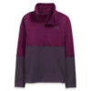 The North Face Tagen 1/4 Zip Womens Fleece 21-22 -Ski Equipment The North Face Women s Tagen 1 4 Zip 21 22 S 1